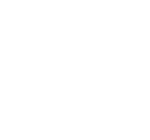 Canada IT Supplier